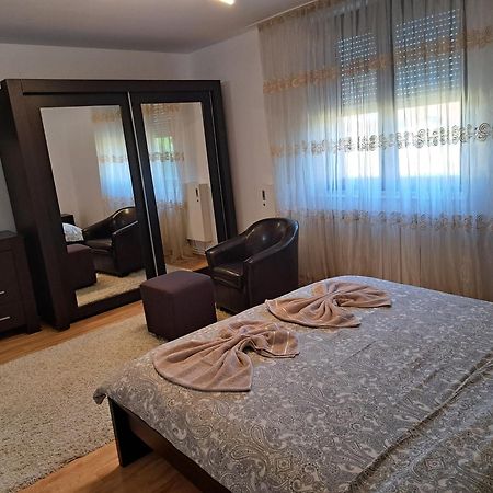 Penthouse Daniela - 3 Rooms In A Spacious Central Apartment Târgu-Mureş Extérieur photo