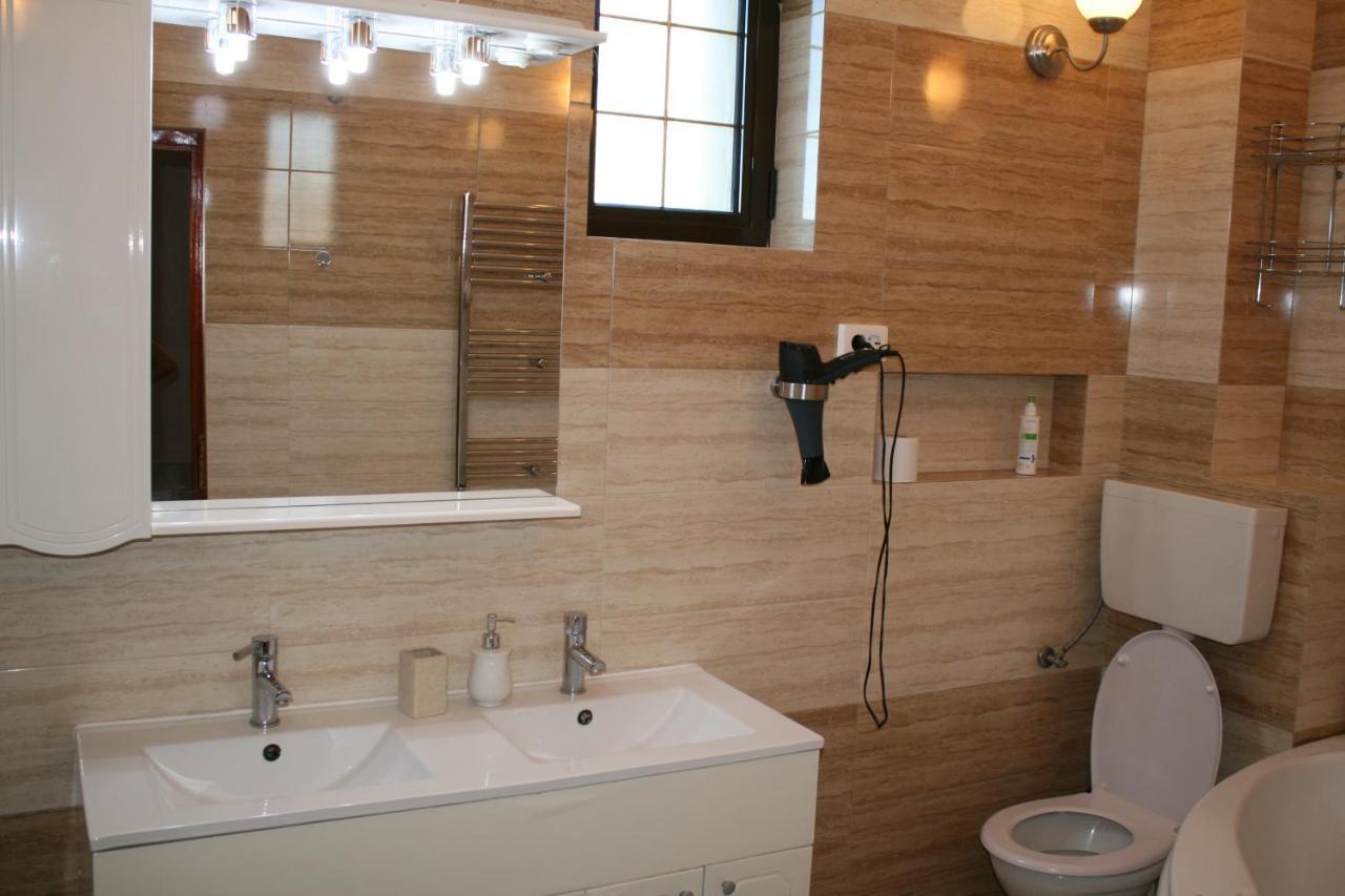 Penthouse Daniela - 3 Rooms In A Spacious Central Apartment Târgu-Mureş Extérieur photo