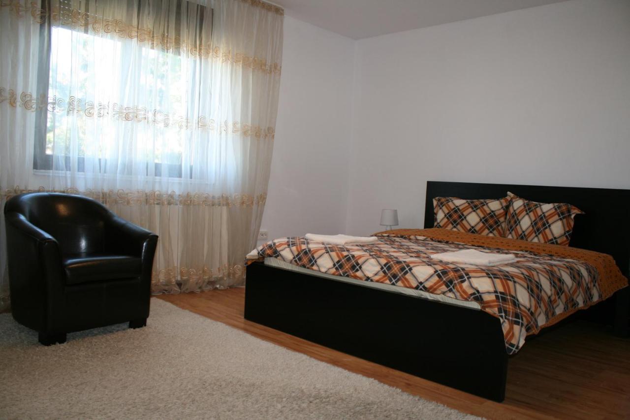 Penthouse Daniela - 3 Rooms In A Spacious Central Apartment Târgu-Mureş Extérieur photo