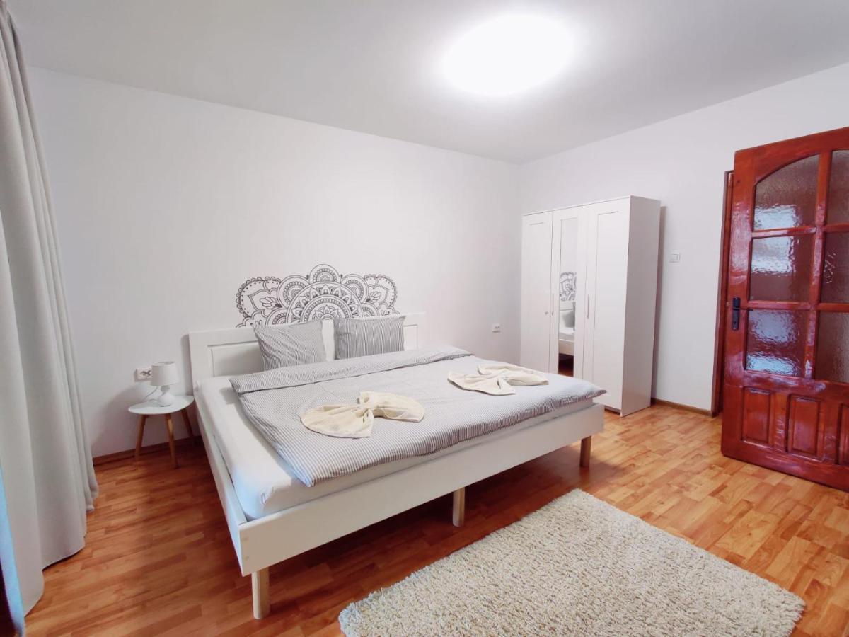 Penthouse Daniela - 3 Rooms In A Spacious Central Apartment Târgu-Mureş Extérieur photo